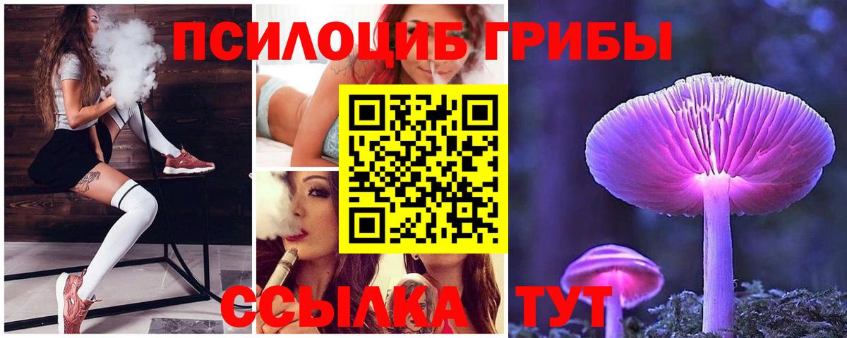 Галлюциногенные грибы Psilocybine cubensis  Галлюциногенные грибы Psilocybine cubensis  Железногорск  Вход с VPN 