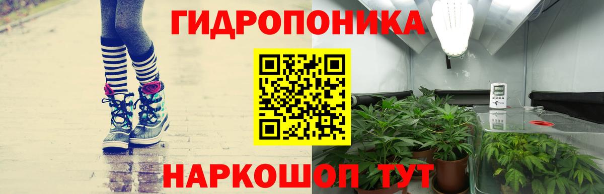 Конопля SATIVA & INDICA Железногорск